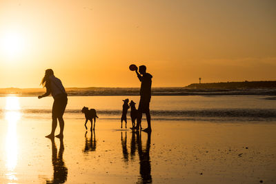 Silhouette people with dogs at beach against sky during sunset
