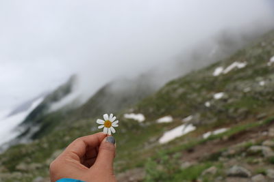 Close-up of hand holding flower