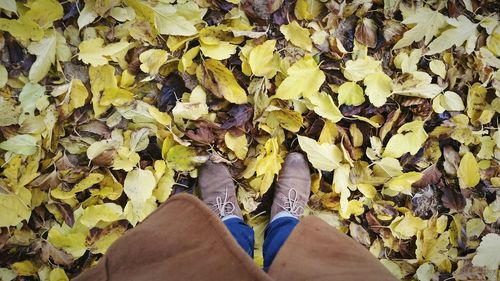 Low section of man wearing shoes while standing on dried leaves