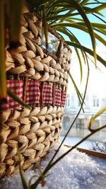 Close-up of bread on tree