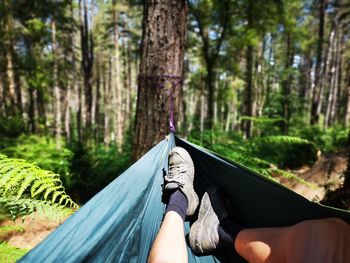 Low section of person lying in hammock at forest