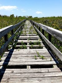 Railroad tracks amidst trees against sky