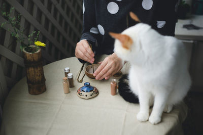 Cat looking at woman making powdered japanese tea on table