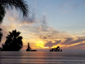 Silhouette palm trees on beach against sky during sunset