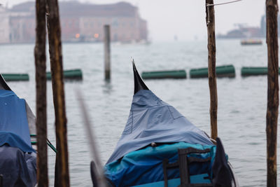 Close-up of man in boat