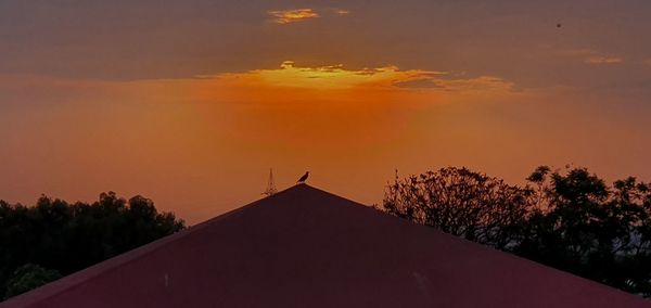 Low angle view of silhouette plants against sky during sunset