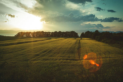 Scenic view of field against sky during sunset