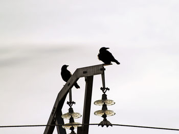 Low angle view of weather vane