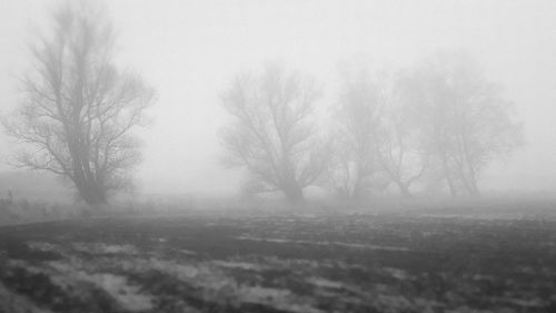 Full frame shot of white background