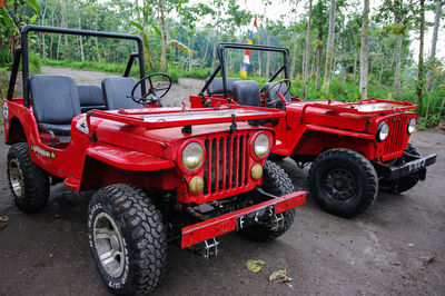 Motorcycle parked against trees