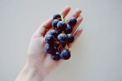 Cropped image of hand holding over white background