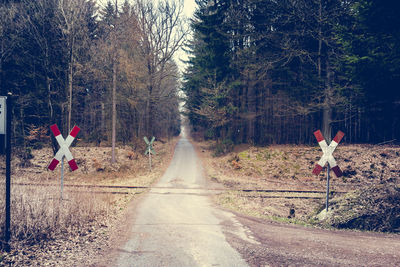 Railroad crossing against trees at forest