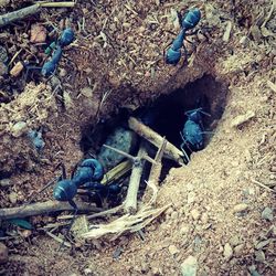 High angle view of abandoned truck on field