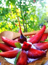 Close-up of strawberries