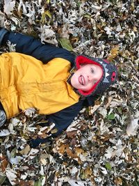 High angle portrait of young woman in autumn leaves