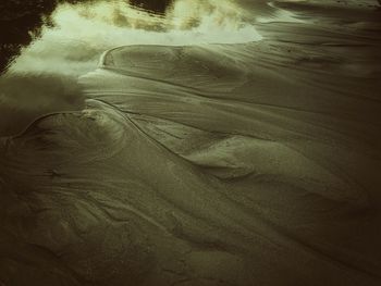 Trees in water