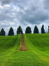 Trees on field against sky