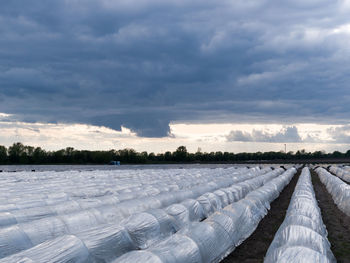 Scenic view of farm against dramatic sky