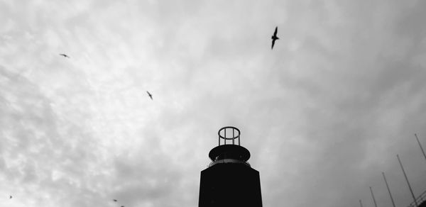 Low angle view of bird flying in sky