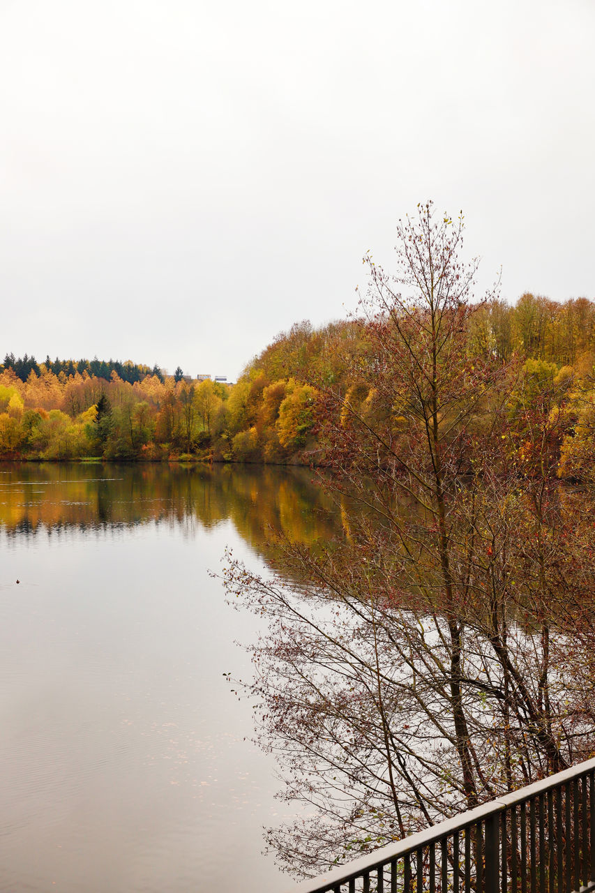 REFLECTION OF TREES IN LAKE AGAINST SKY