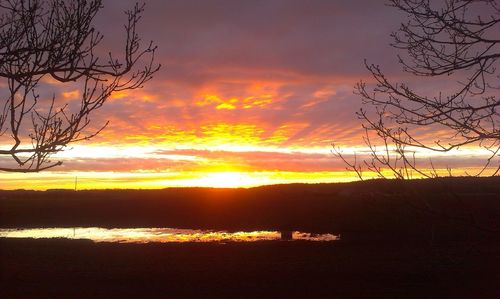 Silhouette tree on landscape against sky at sunset