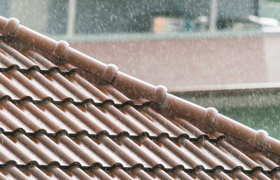 Close-up of raindrops on roof against building