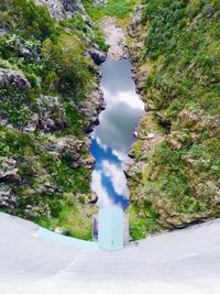 Road passing through trees