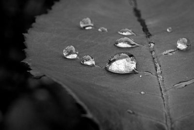 Close-up of water