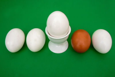 High angle view of eggs against white background