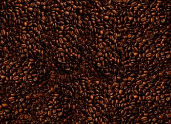 Full frame shot of coffee beans