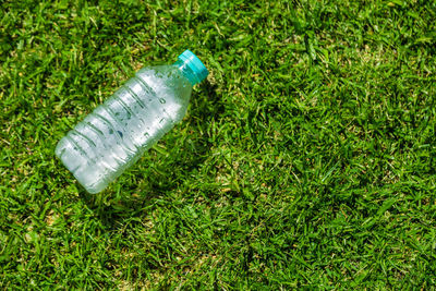 High angle view of bottle on field