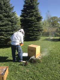 Man smoking bees so he can tend to the hive