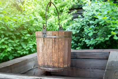 Close-up of potted plant on table in yard