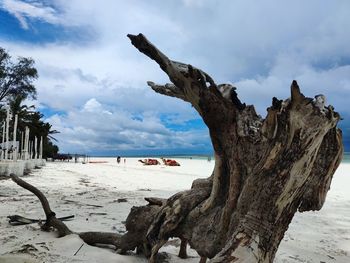 Panoramic view of driftwood on beach against sky