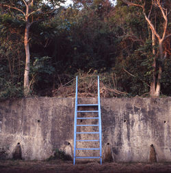 Low angle view of ladder on wall against trees