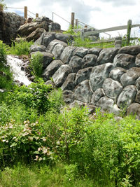 Rocks on grass by water against sky