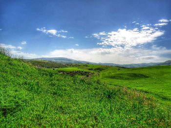 Scenic view of field against sky