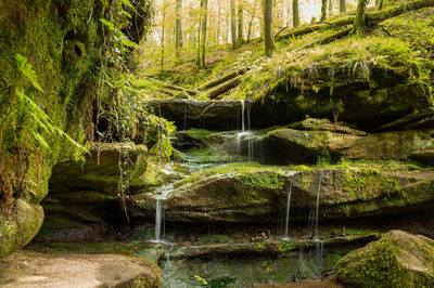 Stream flowing through rocks in forest