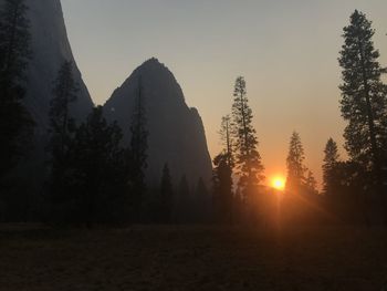 Silhouette of trees at sunset