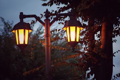 Low angle view of illuminated lamp post against tree