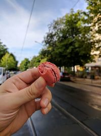 Close-up of hand holding apple against tree