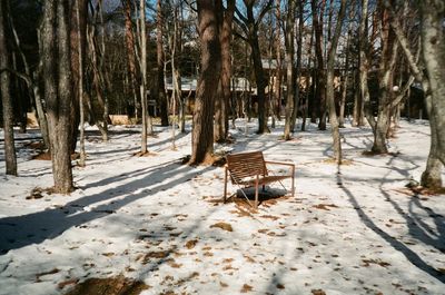 Empty chairs on snow covered landscape