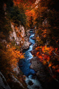 From above picturesque scenery of narrow river streaming through mountainous ravine with rocky slopes and colorful autumnal trees in pyrenees
