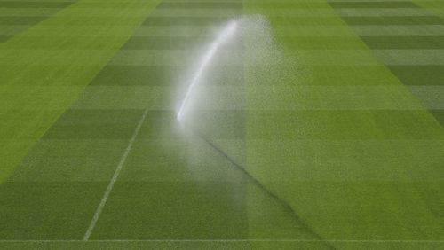 Field is being sprayed before a champions league match