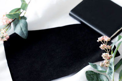 High angle view of potted plant in vase