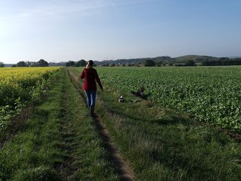 Rear view of people walking on field against sky