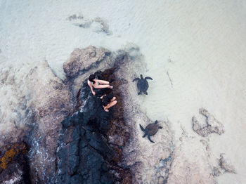 High angle view of friends sitting on rocks by sea