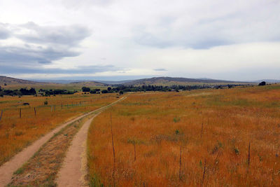 Scenic view of field against sky