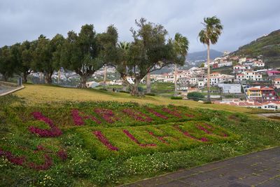 Scenic view of townscape by trees and houses against sky