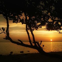 Scenic view of sunset over sea